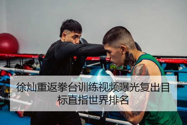 徐灿重返拳台训练视频曝光复出目标直指世界排名